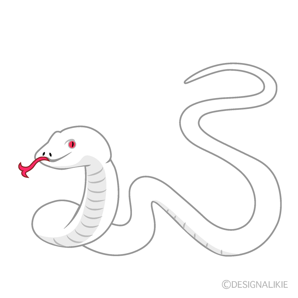 くねくねした神聖な白蛇イラストのフリー素材 イラストイメージ