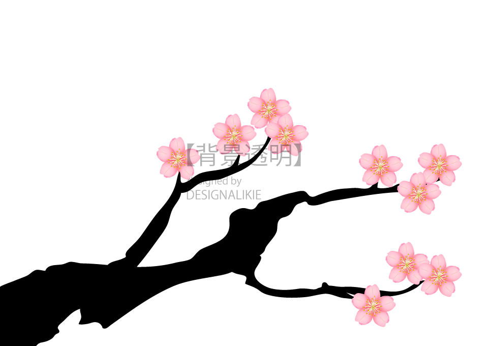 現実 船上 著名な 壁紙 桜 イラスト Informacumiana Org