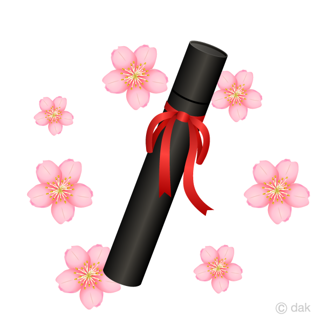 卒業証書の筒と桜の花の無料イラスト素材 イラストイメージ