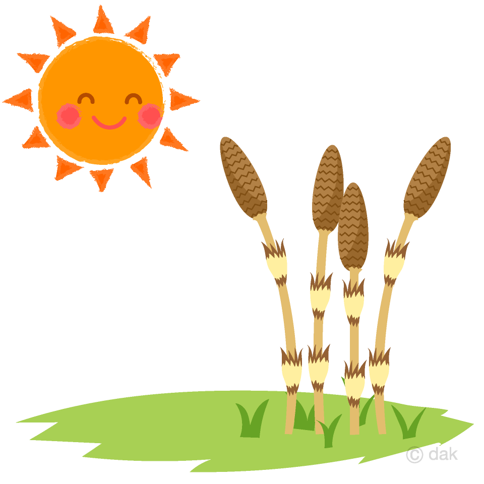 太陽とつくしイラストのフリー素材 イラストイメージ