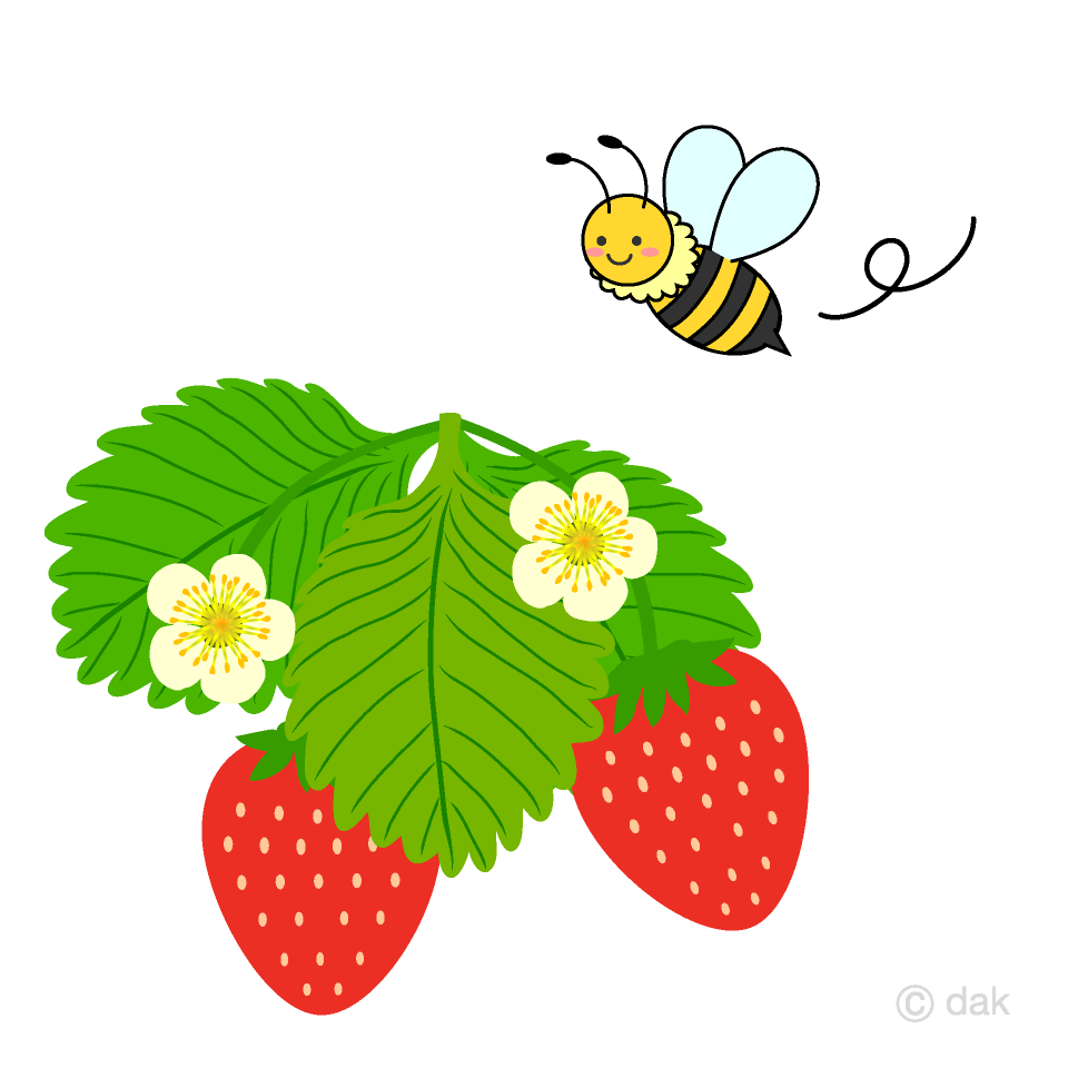 ミツバチといちごイラストのフリー素材 イラストイメージ