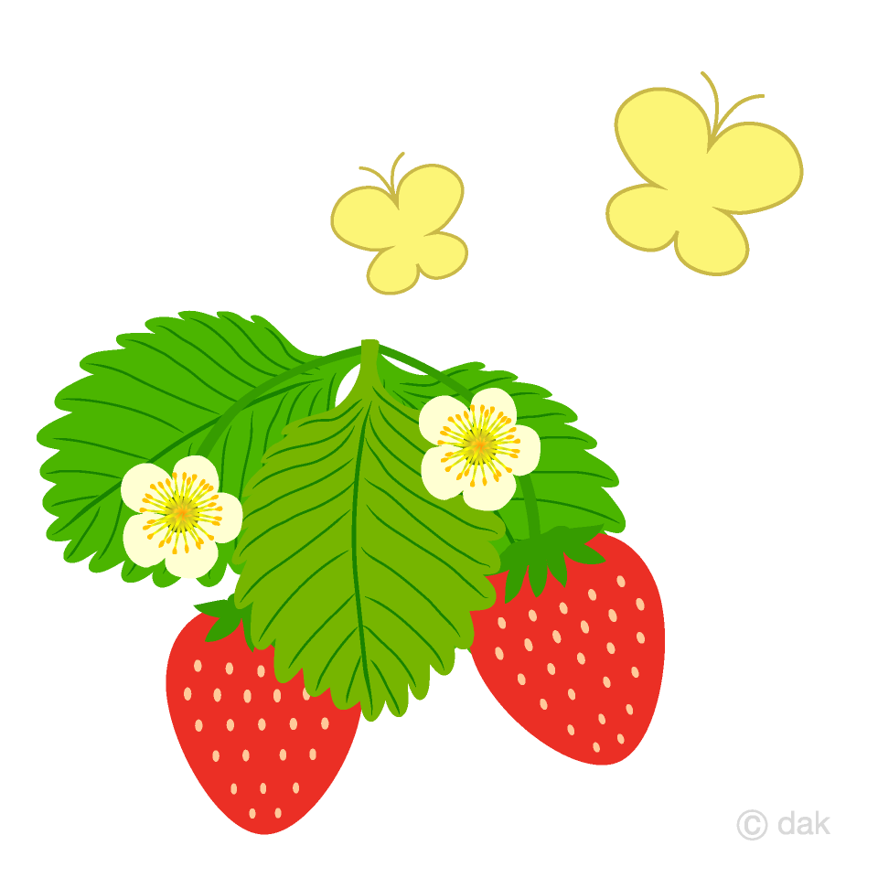 チョウチョといちごの無料イラスト素材 イラストイメージ
