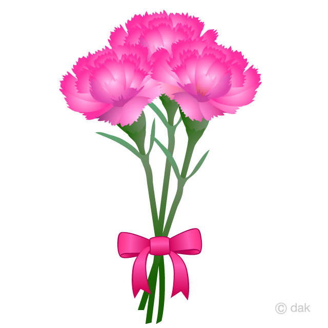 ３本のピンク色カーネーションイラストのフリー素材 イラストイメージ