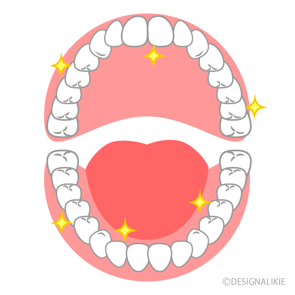 ピカピカの開いた口の歯の無料イラスト素材｜イラストイメージ