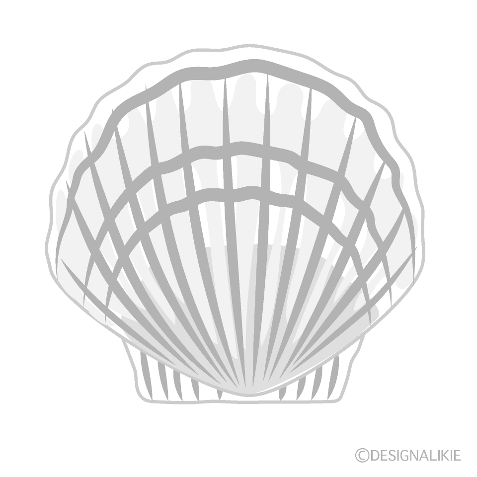 白色のホタテ貝殻イラストのフリー素材 イラストイメージ