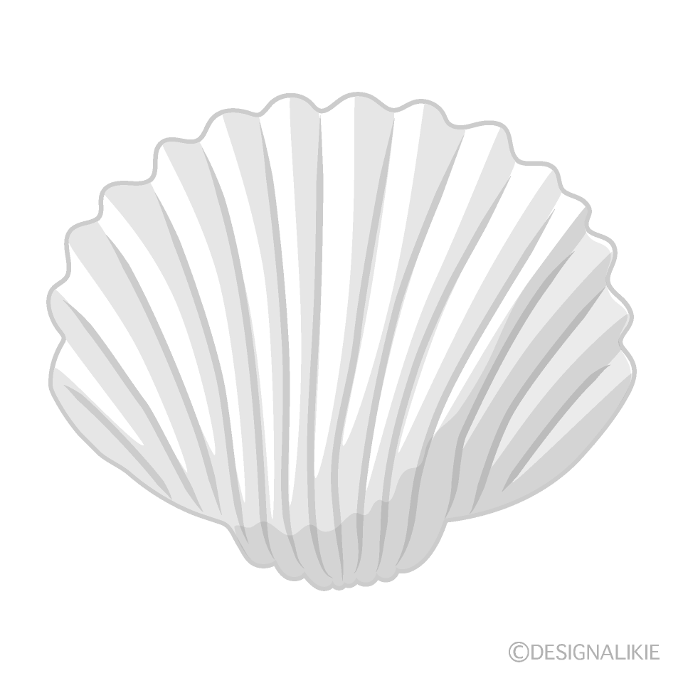 白い貝殻イラストのフリー素材 イラストイメージ
