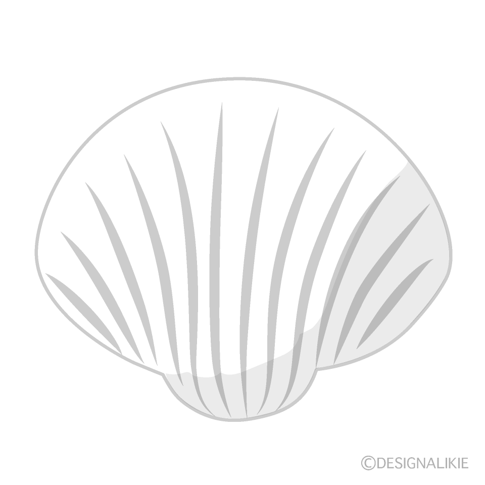 白色二枚貝の貝殻イラストのフリー素材 イラストイメージ