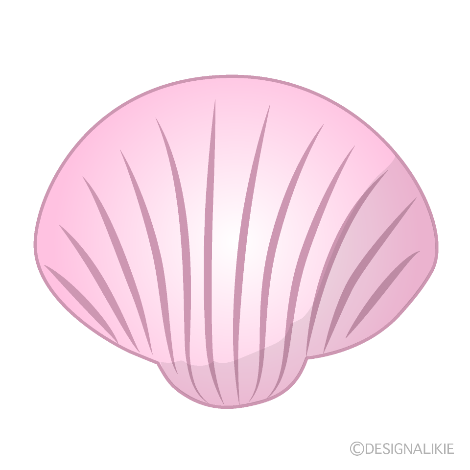 桜色の貝殻の無料イラスト素材 イラストイメージ