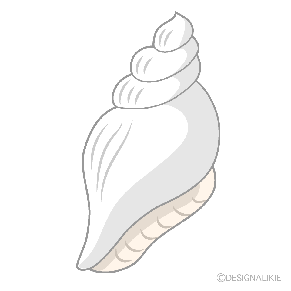 白巻貝の貝殻イラストのフリー素材 イラストイメージ