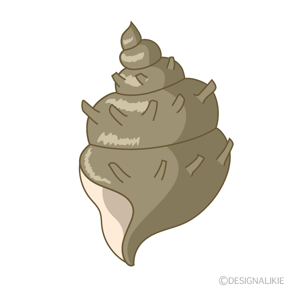 サザエの貝殻イラストのフリー素材 イラストイメージ