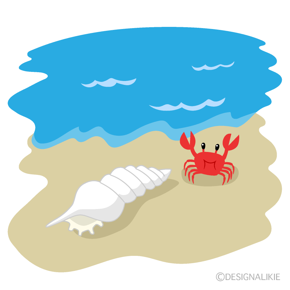 砂浜の貝殻イラストのフリー素材 イラストイメージ