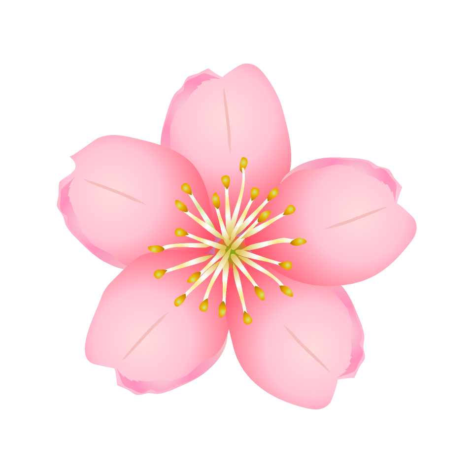 Free Cherry blossoms image｜Free Cartoon & Clipart & Graphics [ii]