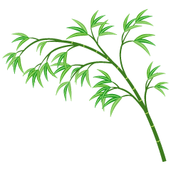 垂れた竹の笹