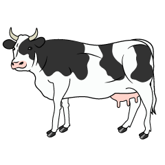 ホルスタインの乳牛