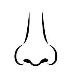 線画の鼻