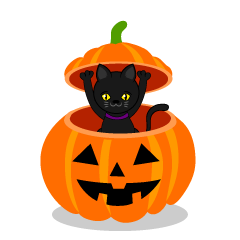 ひょっこり黒猫のハロウィンかぼちゃ