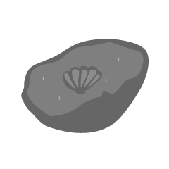 化石の石