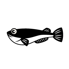 川魚の無料イラスト素材集 イラストイメージ
