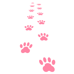 歩く猫のピンク足跡