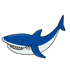 青いサメ