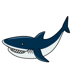 紺色のサメ