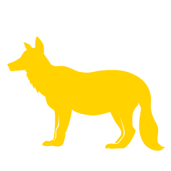 狐の黄色シルエット