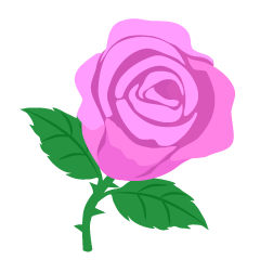 一輪の薄ピンク薔薇