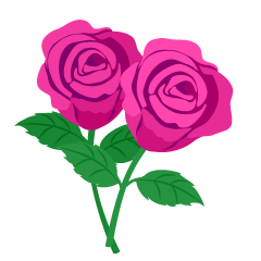 2本のピンク薔薇