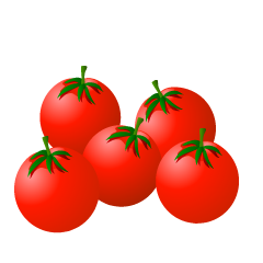 ５個のミニトマト