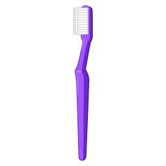 紫色の歯ブラシ