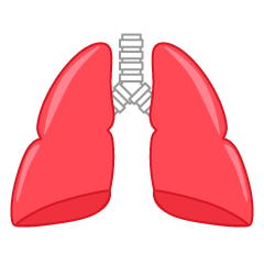 赤い肺