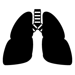 肺シルエット