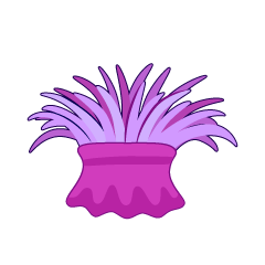 紫色イソギンチャク
