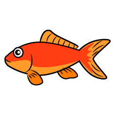 金魚（ワキン）