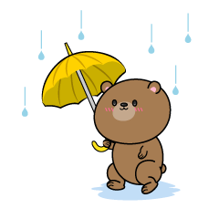 歩く雨の日のクマ