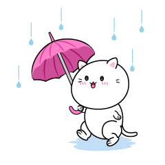 歩く雨の日のネコ