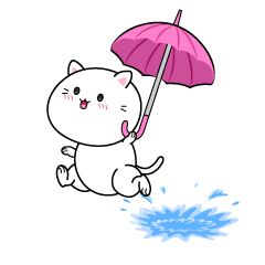 走る雨の日のネコ