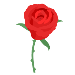 一輪の赤いバラの花