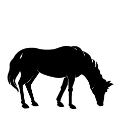 馬シルエット