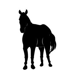 馬シルエット
