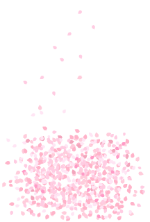 桜吹雪のメッセージカード