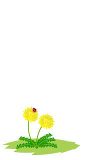 タンポポの花とてんとう虫のメッセージカード