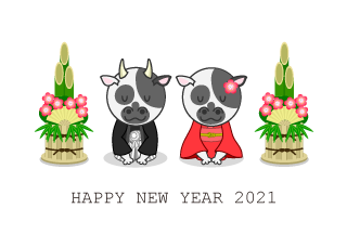 新年挨拶する牛夫婦の年賀状