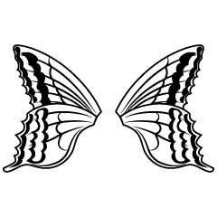 蝶の羽根