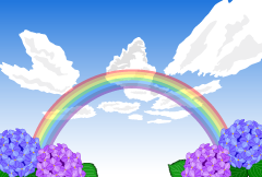 アジサイの花と虹の空