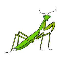 カマキリの卵イラストのフリー素材 イラストイメージ