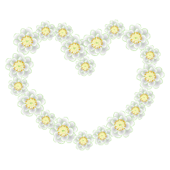白い花のハートマーク