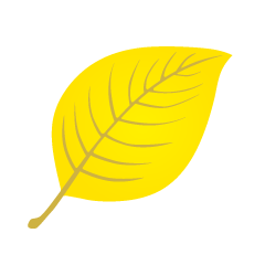 黄色の葉っぱ