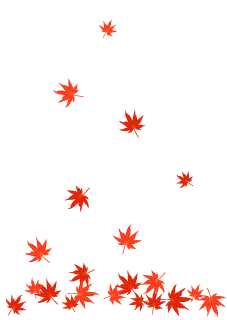 振り積もる紅葉の葉っぱ