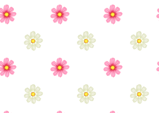 ピンク色コスモスの花柄壁紙